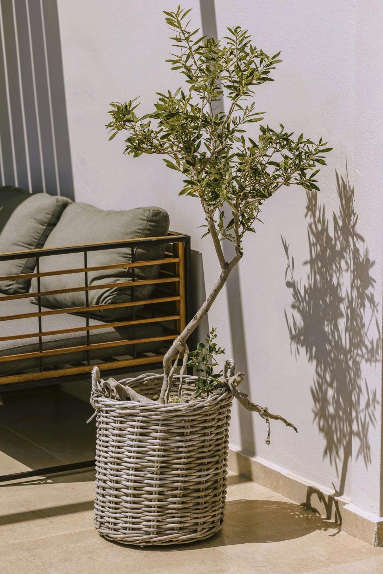 רודאקינון Anemos Luxury Villas מראה חיצוני תמונה